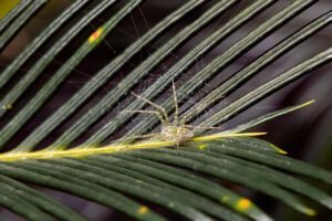 maria leticia canovas fotografia