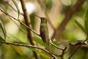 maria leticia canovas fotografia