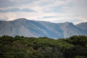 maria leticia canovas fotografia