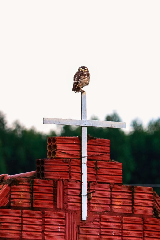 maria leticia canovas fotografia