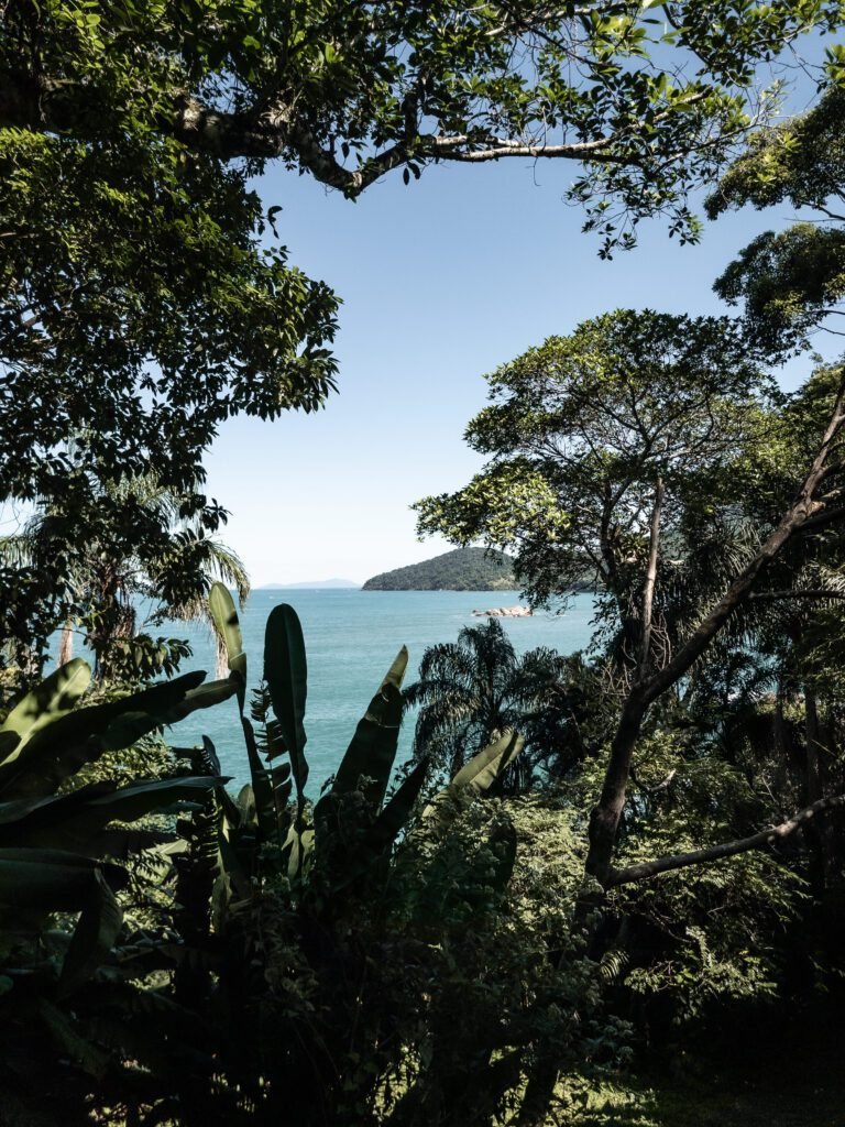 Atlântica - fotografia de Maria Letícia Cânovas