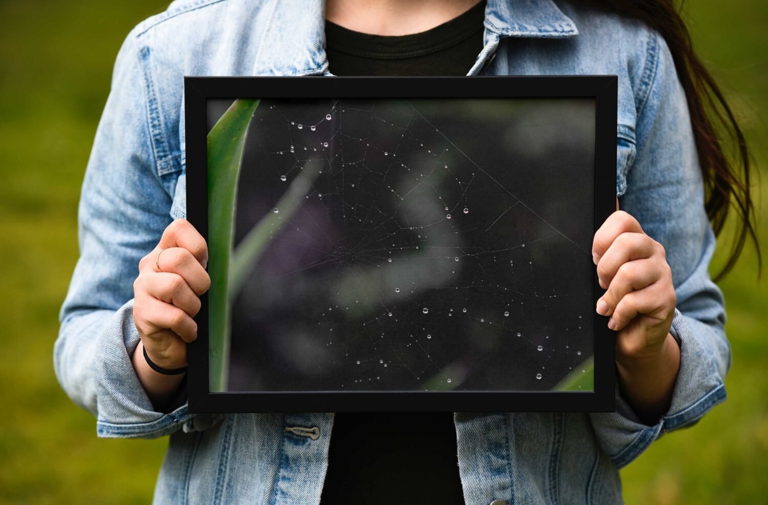 Horizontal-Frame-PSD-Mockup