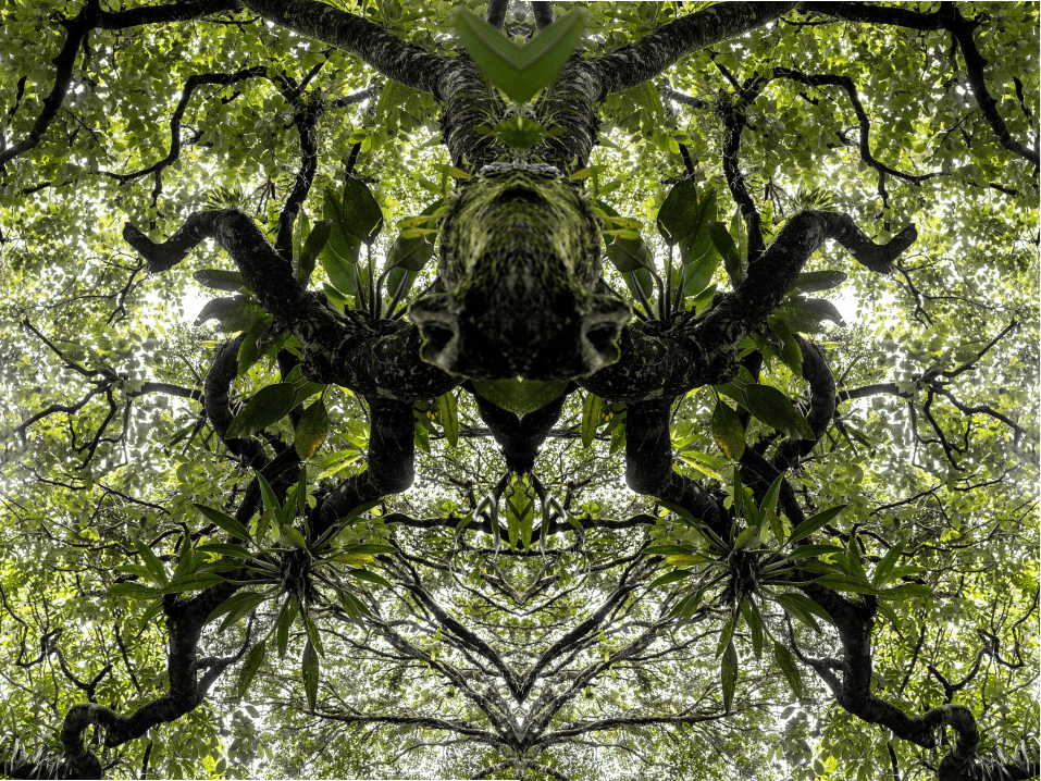 maria leticia canovas fotografia