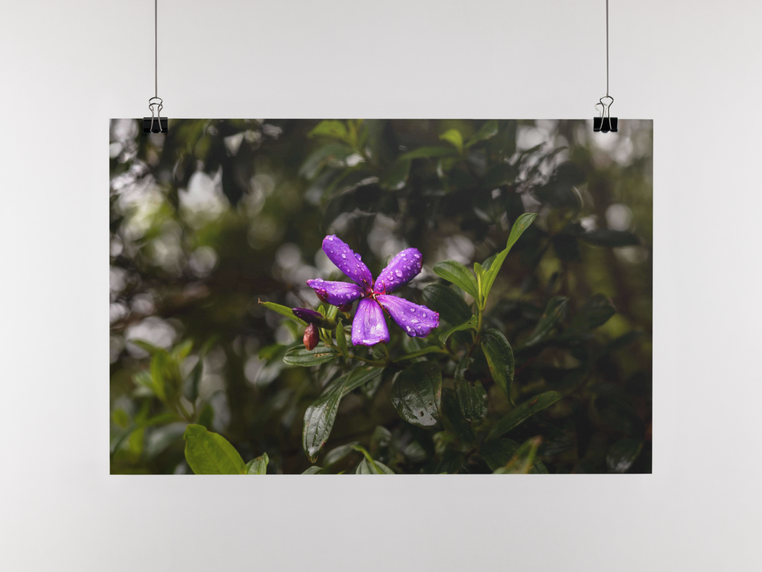 mockup-template-of-a-paper-poster-hanging-from-a-wall-a10328 (2)